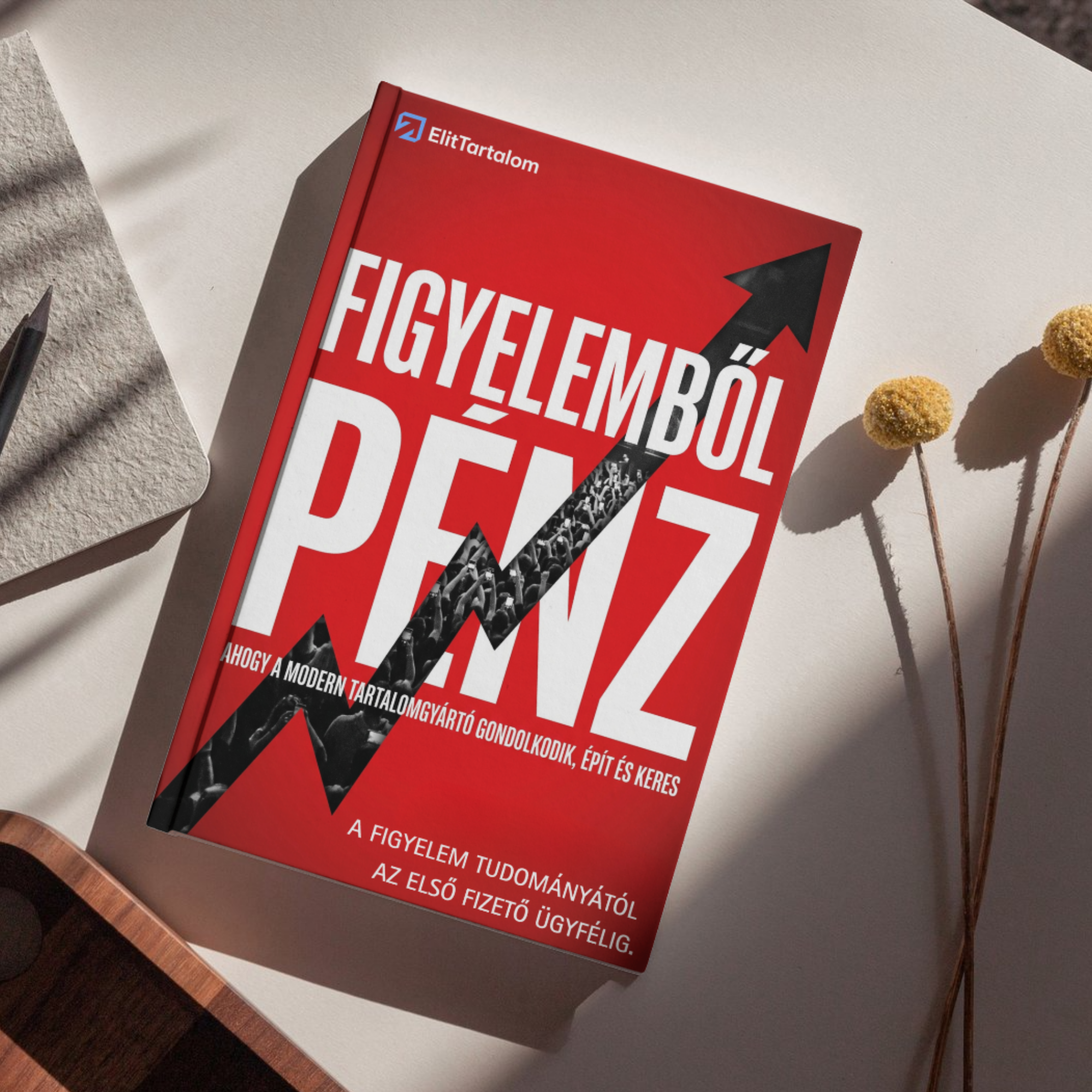 Teljes "Figyelemből pénz" Videóanyag, pdf